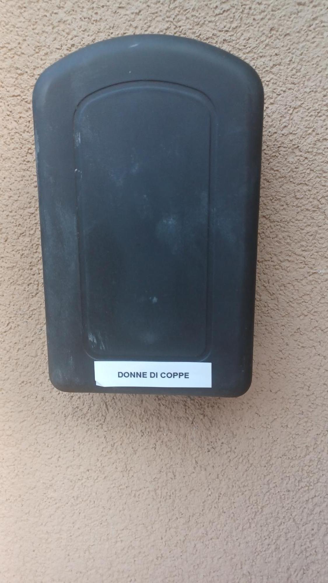 Donna Di Coppe *